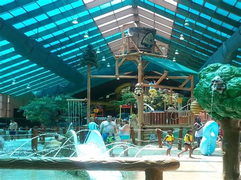 Wild bear water park gatlinburg tennessee - Mar 5, 2024 - A mountain-themed, world-class family indoor water park, Wild Bear Falls at Westgate Smoky Mountain Resort & Water Park in Gatlinburg, Tennessee, features a state-of-the-art retractable roof, takin... 